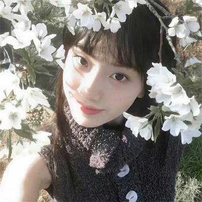 黄金拼图第二季